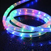 Yescom LumeVine Commercial Rope Light - 120V, 1/2"(13mm), RGB Image