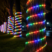 Yescom LumeVine Commercial Rope Light - 120V, 1/2"(13mm), RGB Image
