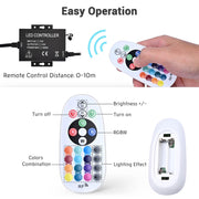 Yescom 110V LED Controller & RF Remote for Neon Rope Light RGBW Image