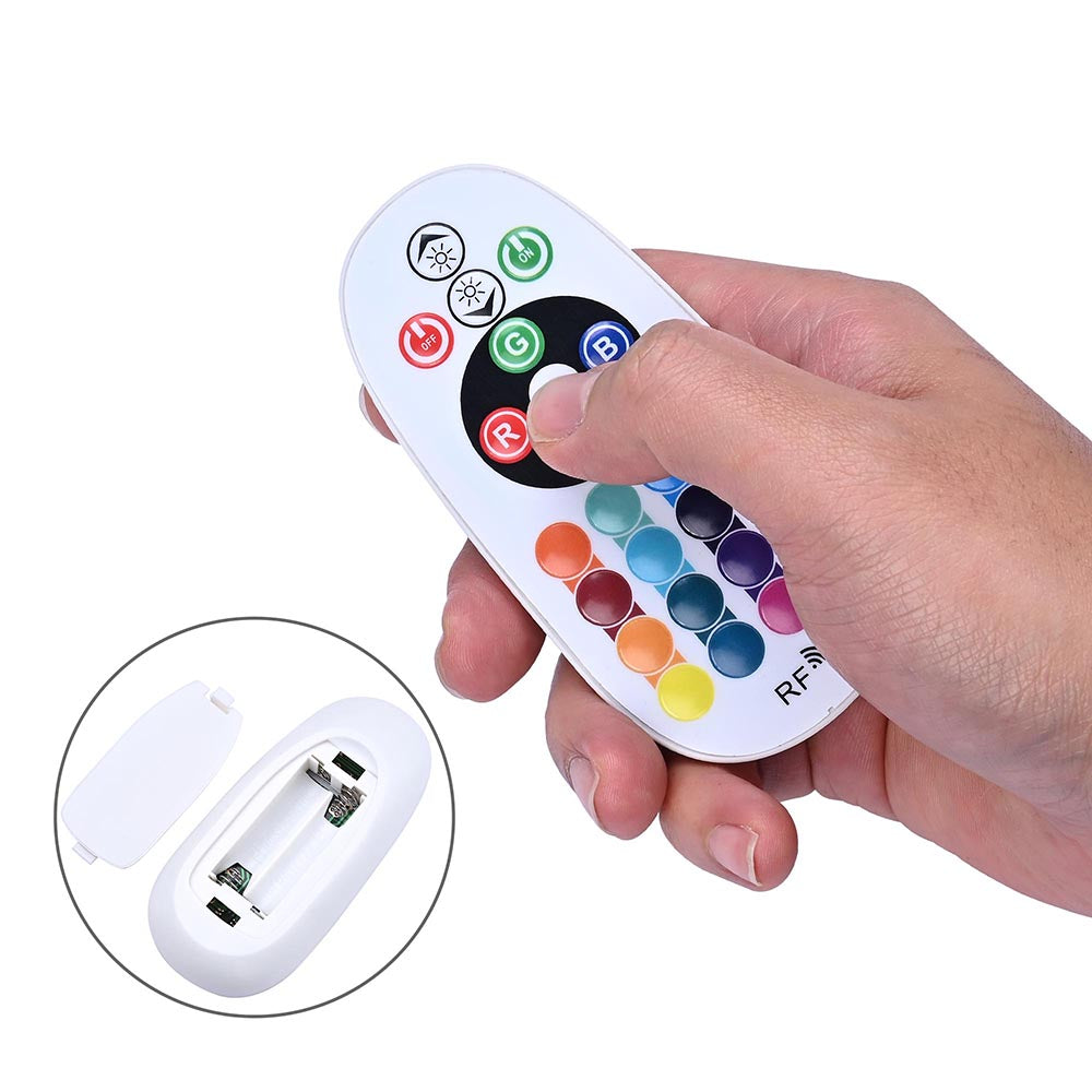 Yescom LED Controller RF Remote for Neon Rope Light RGB Image