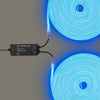 Yescom 110V LED Controller & RF Remote for Neon Rope Light RGBW