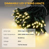 Yescom 110V Commercial String Lights Mini 5mm Xmas Lights 200ft - (4x)50ft