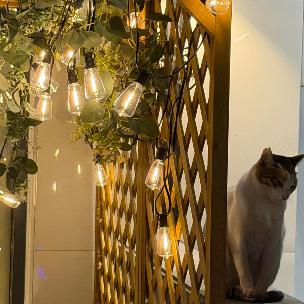 Yescom 110V Commercial String Lights 100-Bulbs 200ft - (4x)50ft Image