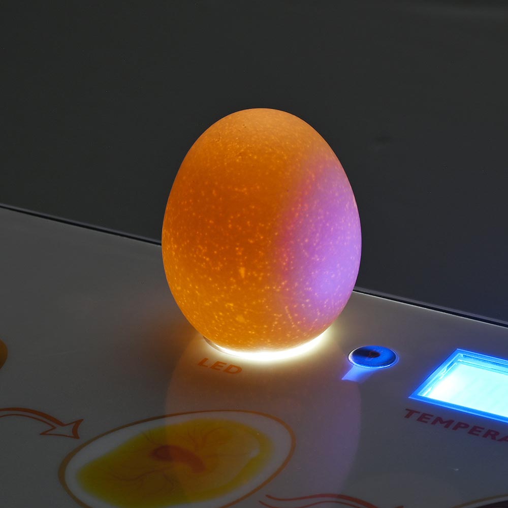 Yescom 12 Egg Digital Incubator Auto Turning LED Candling Hatcher Image