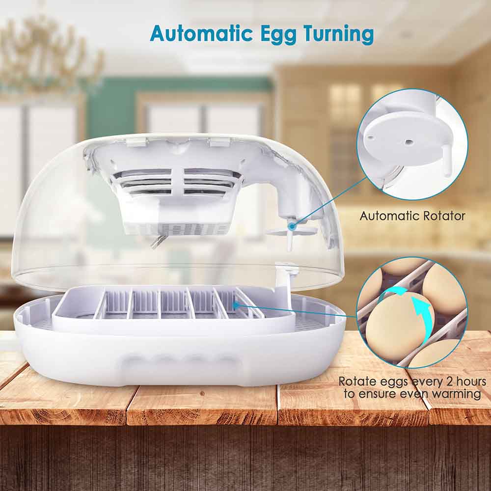 Yescom 16 Egg Incubator Auto Turner Temperature Humidity Control