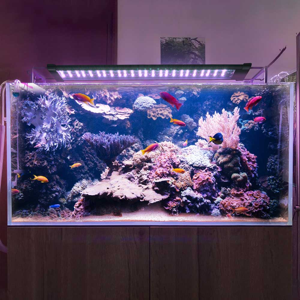 Yescom LED Aquarium Light with Timer RC RGBW 22-29" Image