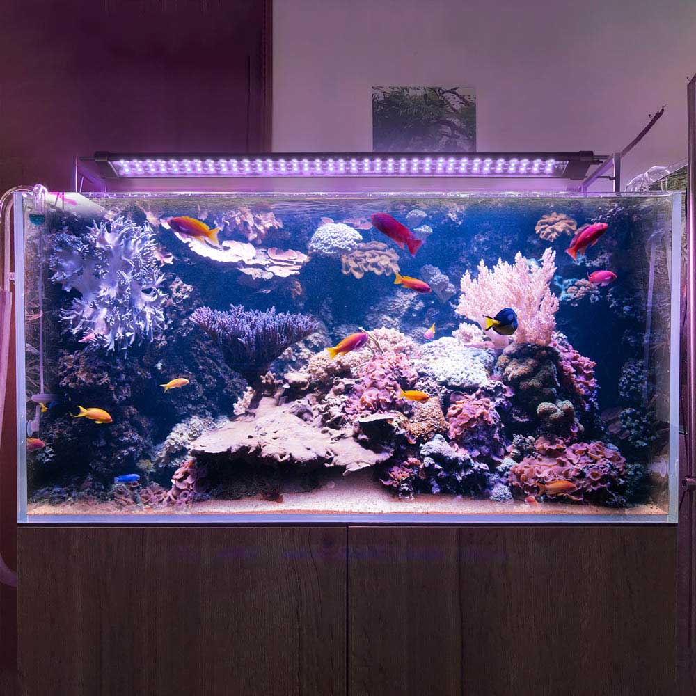 Yescom LED Aquarium Light with Timer RC RGBW 32-39" Image