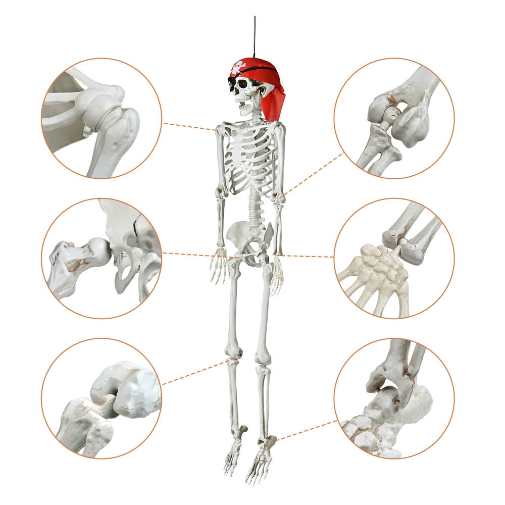 Yescom 5.4ft Life Size Posable Full Body Skeleton Prop for Halloween Party Image