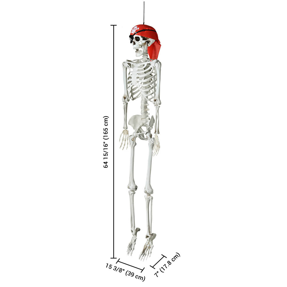Yescom 5.4ft Life Size Posable Full Body Skeleton Prop for Halloween Party