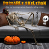 Yescom 5.6ft Skeleton Posable Halloween Decoration with Pirate, Cowboy, Day of Dead Costume