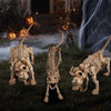 Yescom Halloween Decoration Animal Skeletons Options