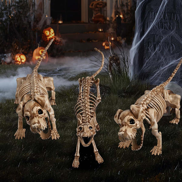 Yescom Halloween Decoration Animal Skeletons Options Image