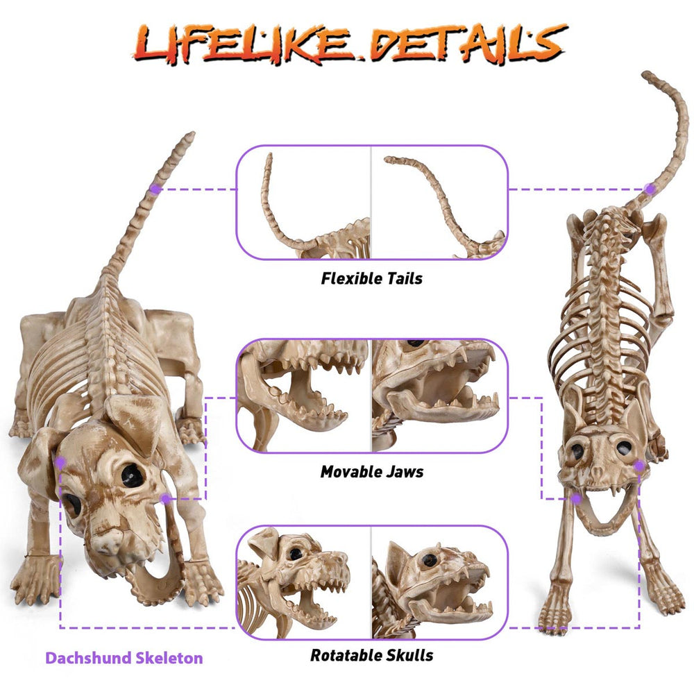 Yescom Halloween Decoration Animal Skeletons Options Image