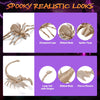 Yescom Halloween Decoration Animal Skeletons Options