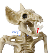 Yescom Halloween Decoration Animal Skeletons Options Image