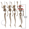 Yescom Halloween Decoration Animal Skeletons Options