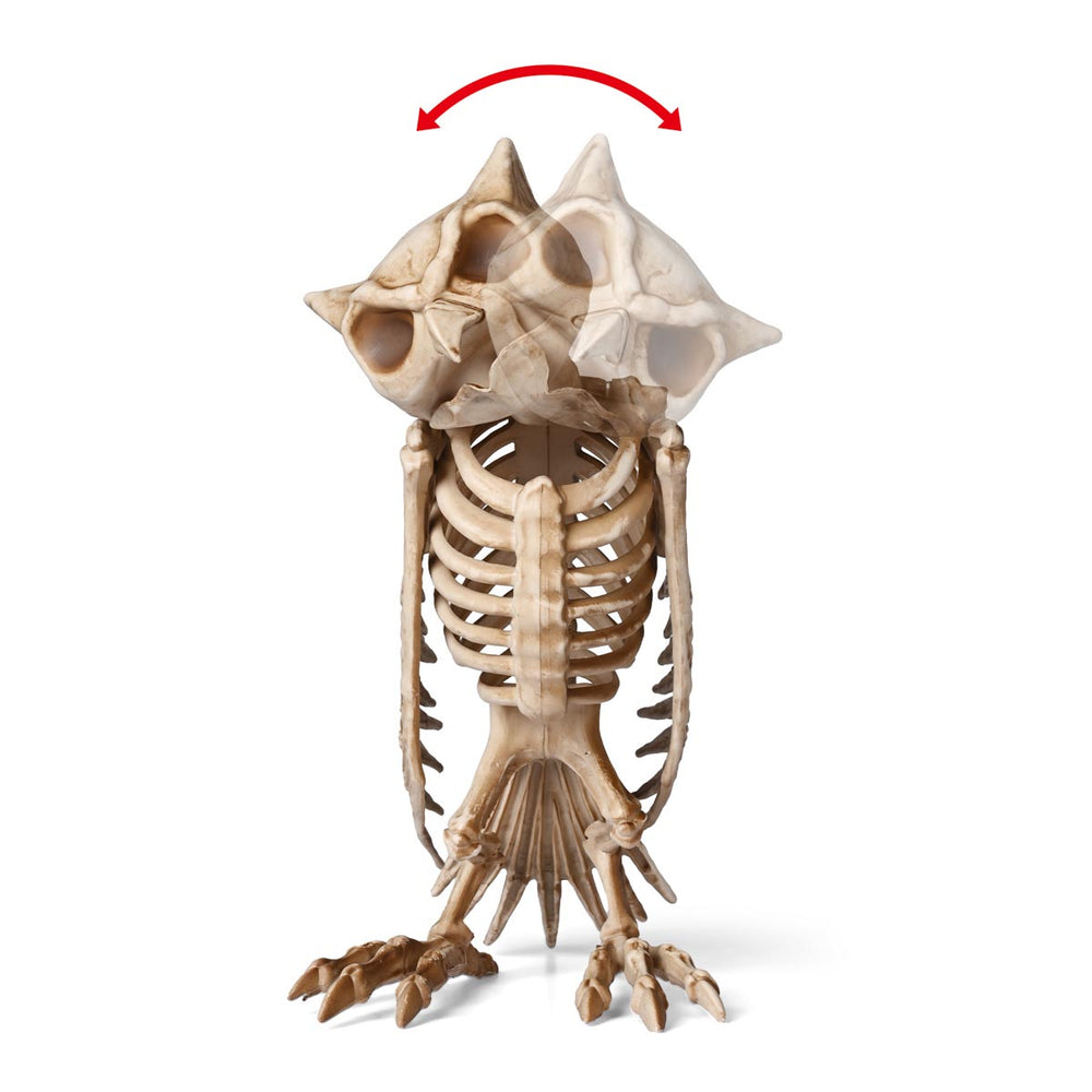 Yescom Halloween Decoration Animal Skeletons Options Image