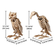 Yescom Halloween Decoration Animal Skeletons Options Image