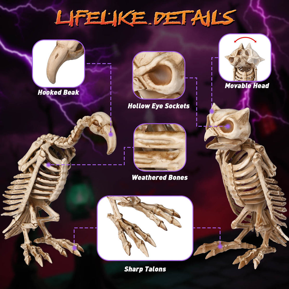 Yescom Halloween Decoration Animal Skeletons Options Image