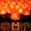 Yescom 10FT Marigold String Lights Garland Halloween Decoration, 2ct.