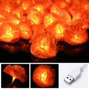 Yescom 20FT Marigold String Lights Garland Halloween Decoration, 2ct. Image