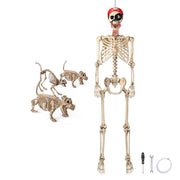 Yescom 5.6Ft Halloween Skeleton Set - Pirate & 3 Animal Skeletons Image