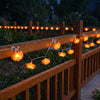Yescom 2-Pack Marigold String Lights with S-Hooks, USB plug-in