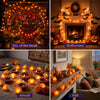 Yescom 2-Pack Marigold String Lights with Magnetic U-Clips, Battery Operated