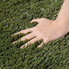 Yescom Commercial Artificial Turf for Pet Facility Runs 15'x Cut-to-Length